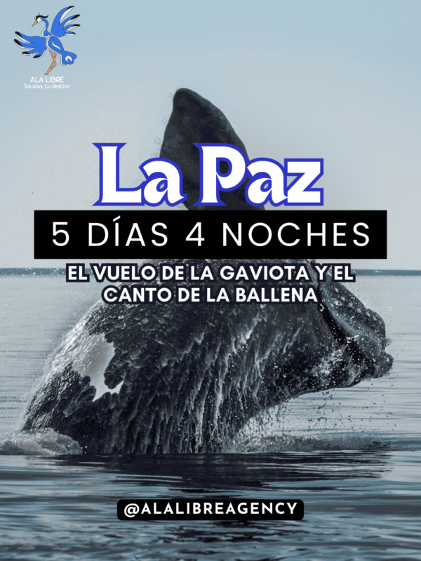 Viaje a La Paz