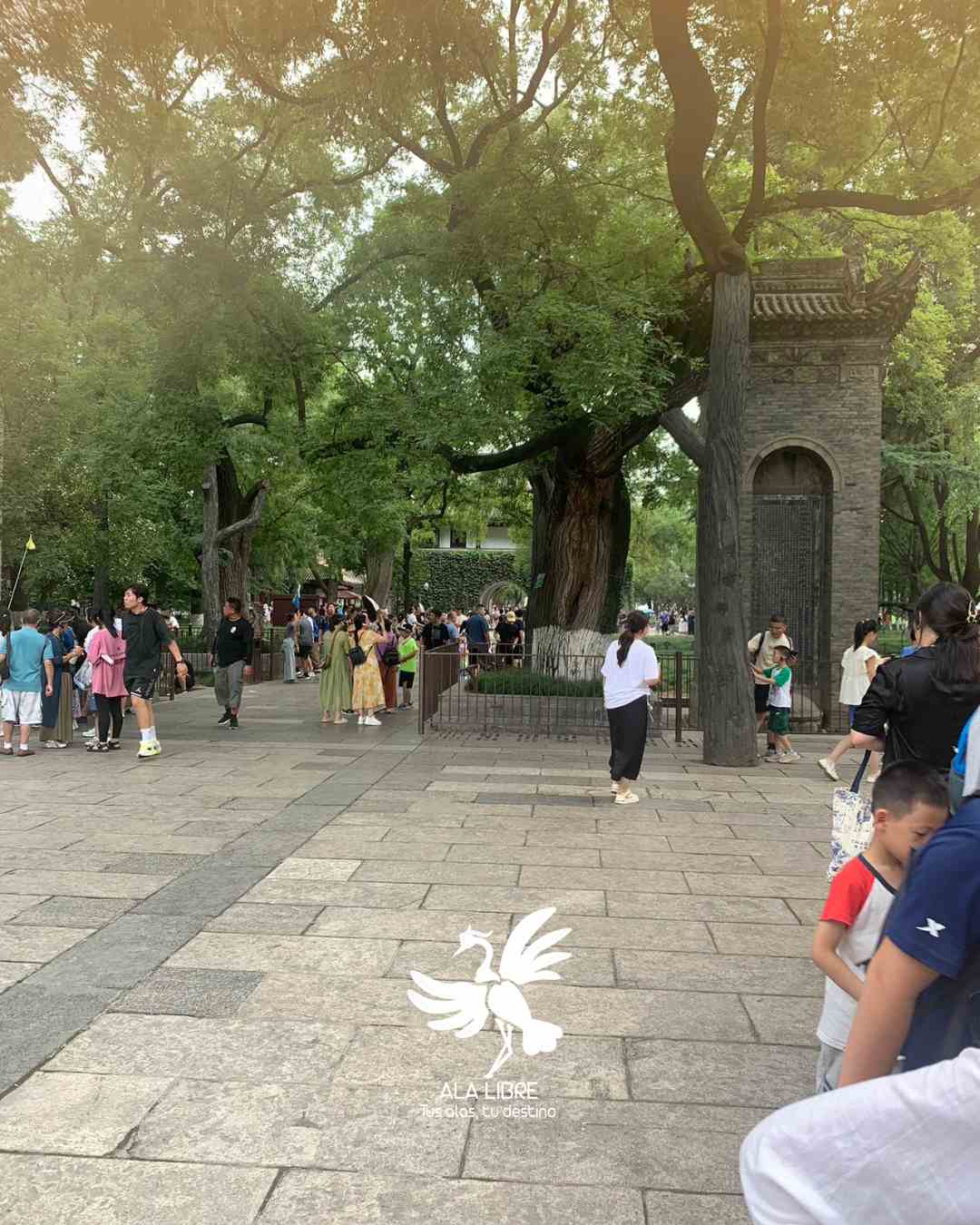 CHINA FAISÁN DORADO 11 DÍAS 10 NOCHES |VIAJE GRUPAL16 A 26 MARZO 2026| - Image 5