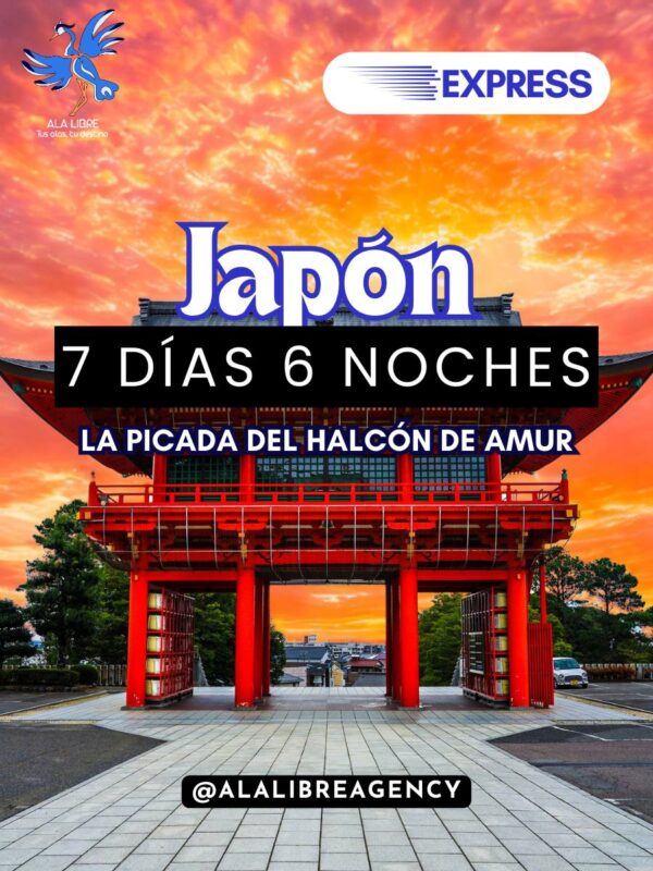 Asombroso Japón en un viaje express de 7 Días y 6 Noches