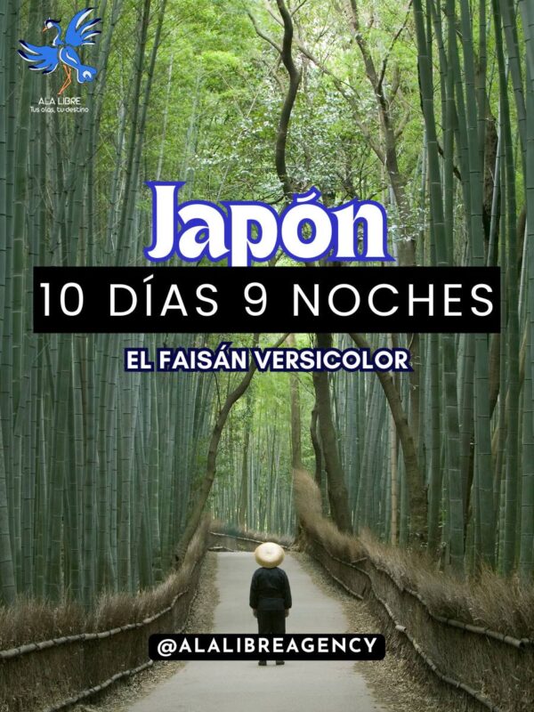 Ruta de Ensueño por el Japón Tradicional en 10 Días y 9 Noches