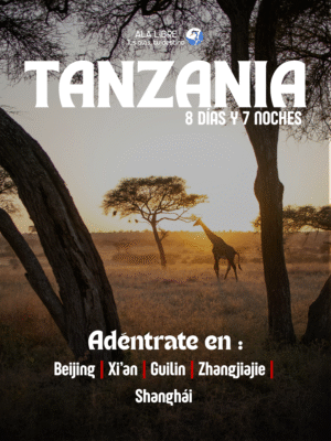 TANZANIA TURACO DE GUINEA 8 DÍAS 7 NOCHES |Recorre la tierra de los cinco grandes|