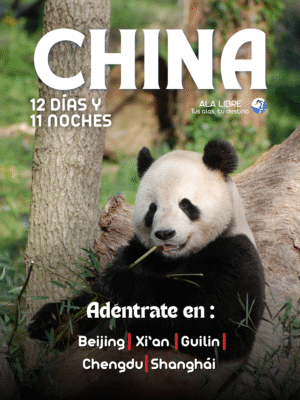 CHINA TROGÓN DE TEMMINCK 12 DÍAS 11 NOCHES | Admira los increíbles pandas gigantes|