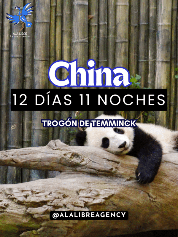Viaje grupal: Admira los increíbles pandas gigantes y vive China en 12 días, 11 noches.