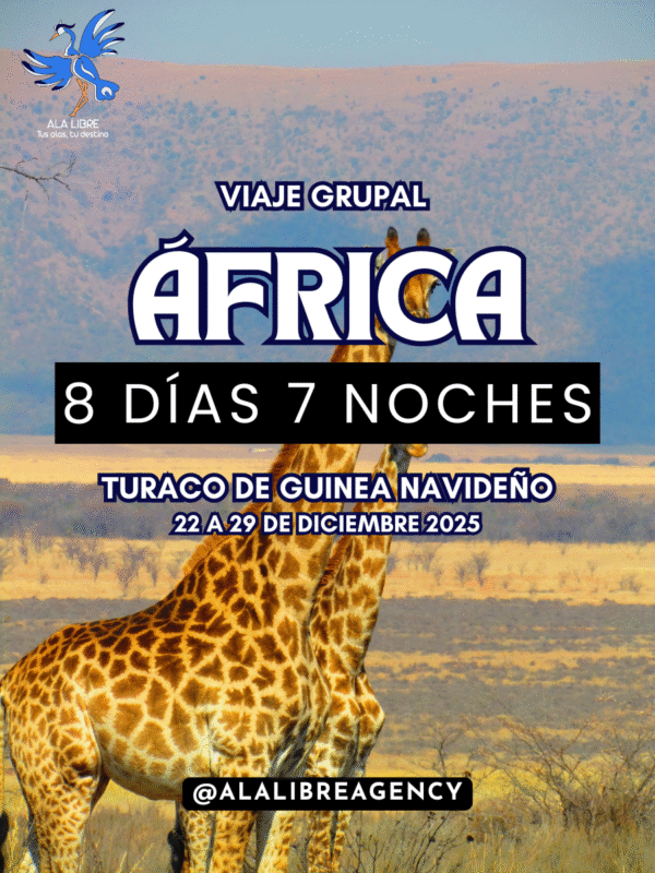 AFRICA TURACO DE GUINEA NAVIDEÑO 8 DÍAS 7 NOCHES | VIAJE GRUPAL 22 A 29 DICIEMBRE 2025|