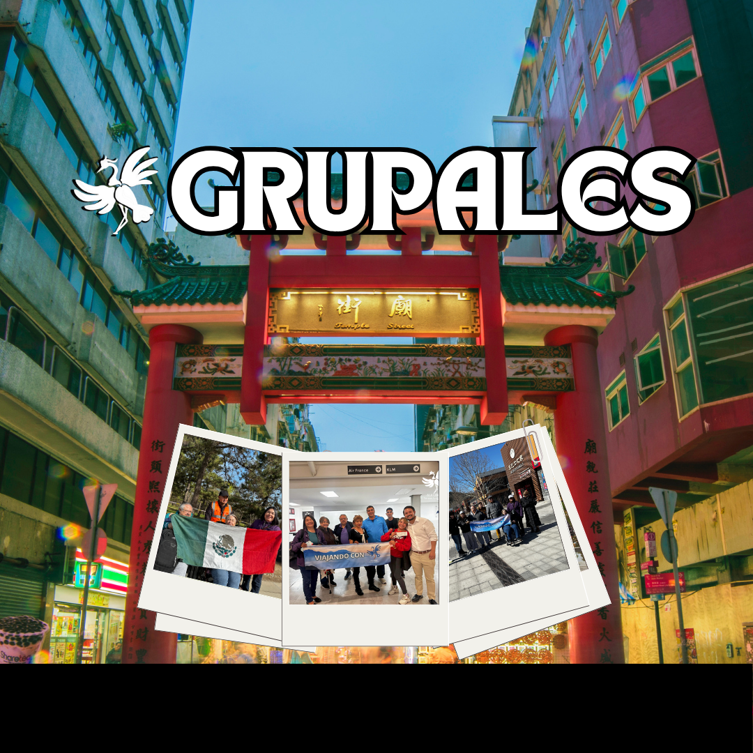 AFRICA TURACO DE GUINEA 8 DÍAS 7 NOCHES | VIAJE GRUPAL 15 A 22 DE NOVIEMBRE 2025|