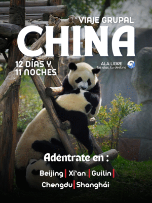 CHINA TROGÓN DE TEMMINCK  12 DÍAS 11 NOCHES |VIAJE GRUPAL 10 a 21 DE OCTUBRE DE 2025|