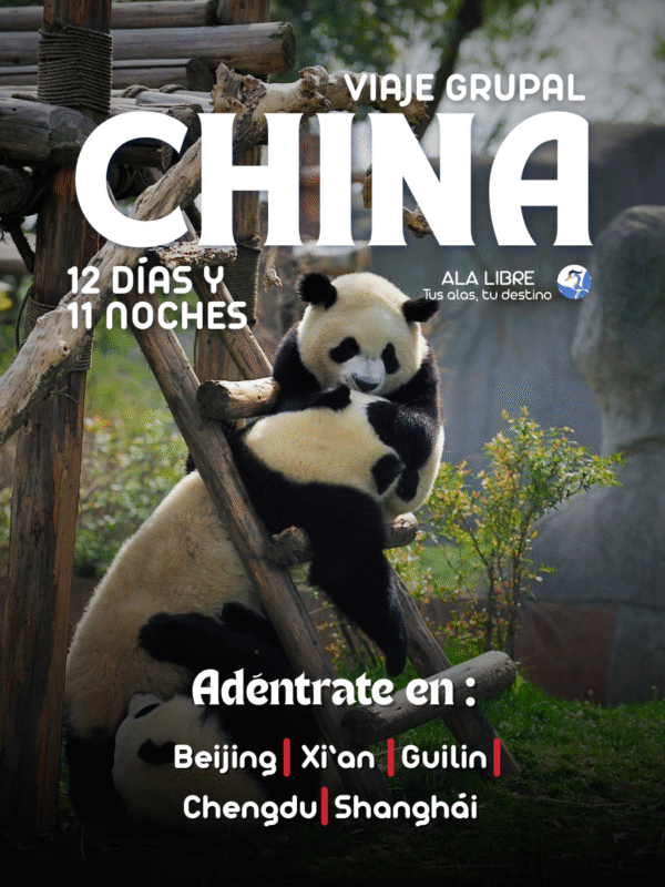 CHINA TROGÓN DE TEMMINCK  12 DÍAS 11 NOCHES |VIAJE GRUPAL 10 a 21 DE OCTUBRE DE 2025|