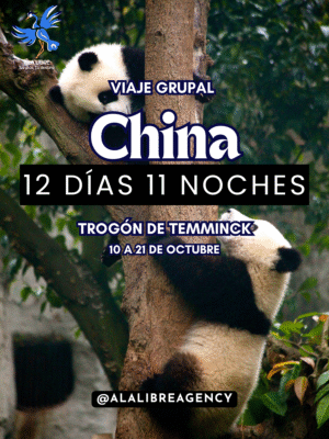 CHINA TROGÓN DE TEMMINCK  12 DÍAS 11 NOCHES |VIAJE GRUPAL 10 a 21 DE OCTUBRE DE 2025|