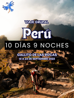 PERÚ GALLITO DE LAS ROCAS 10 DÍAS 9 NOCHES |VIAJE GRUPAL 15 A 24 DE SEPTIEMBRE 2025|