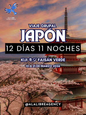 JAPÓN KIJI キジ FAISÁN VERDE 12 DÍAS 11 NOCHES | EXPERIENCIA ANIME |