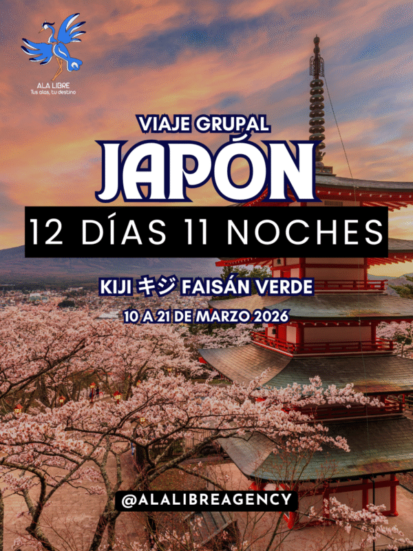 JAPÓN KIJI キジ FAISÁN VERDE 12 DÍAS 11 NOCHES | EXPERIENCIA ANIME |