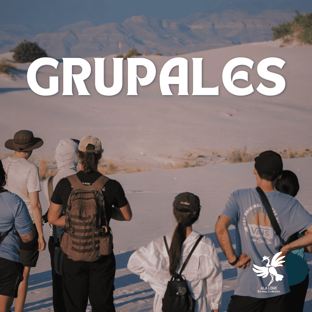 AFRICA TURACO DE GUINEA 8 DÍAS 7 NOCHES | VIAJE GRUPAL 15 A 22 DE NOVIEMBRE 2025|