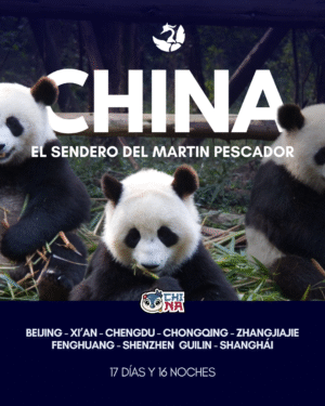 EL SENDERO DEL MARTÍN PESCADOR | 11 al 26 noviembre 2026 |