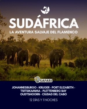 LA AVENTURA SALVAJE DEL FLAMENCO 12 Días y 11 Noche |Recorre la tierra de los cinco grandes| 15 al 26 enero 2027