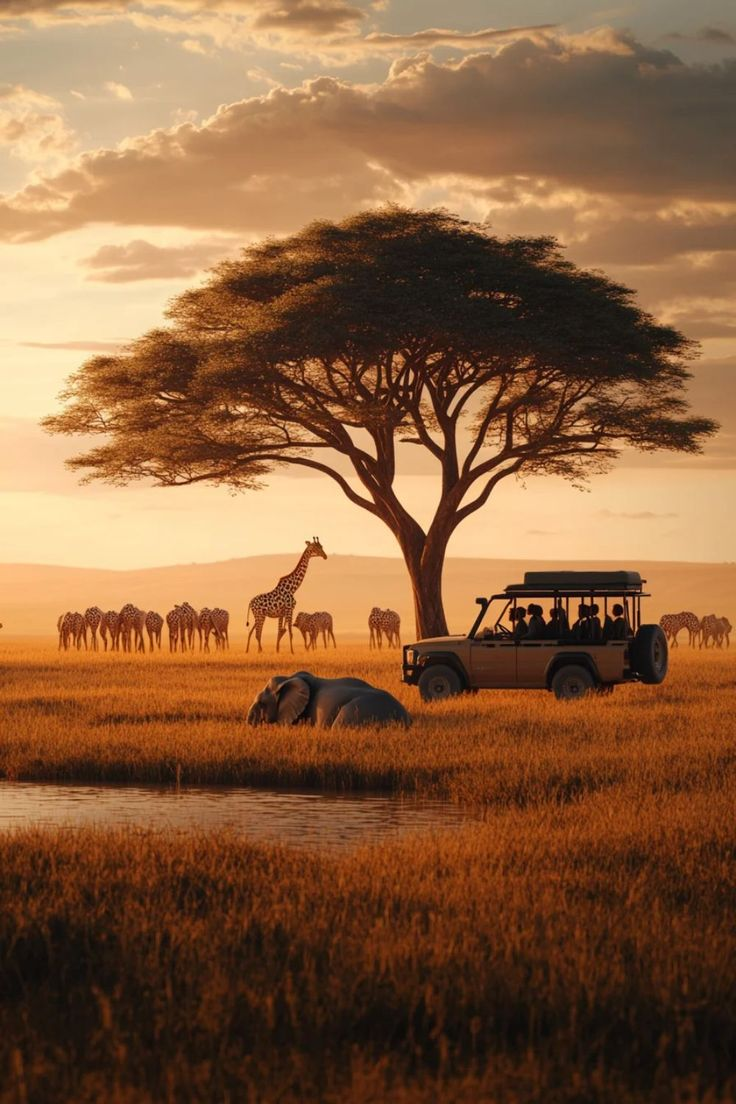Viajes a África