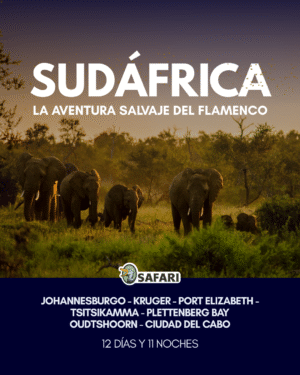 LA AVENTURA SALVAJE DEL FLAMENCO 12 Días y 11 Noche |Recorre la tierra de los cinco grandes| 15 al 26 enero 2027
