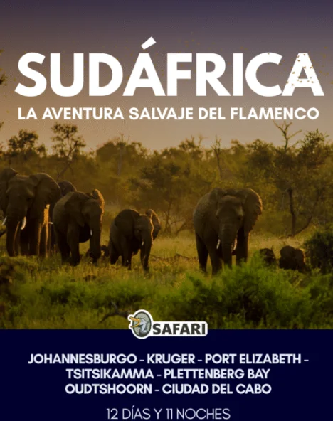 Viaje personalizado por África